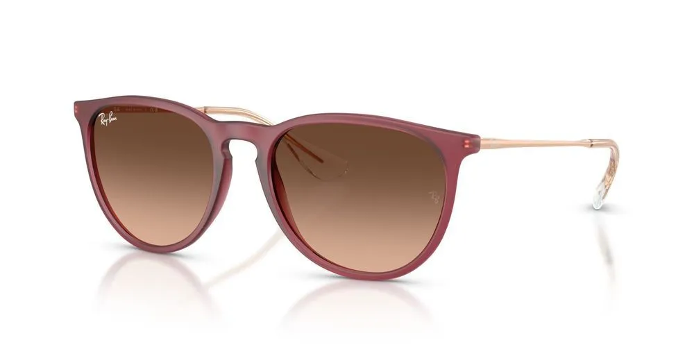 ERIKA RB 4171 sold by Otticanet product image thumbnail 2