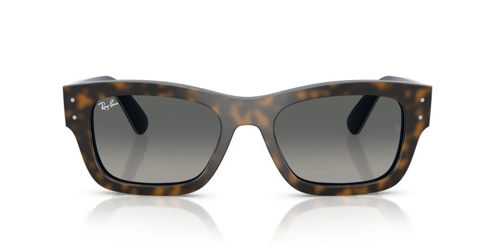 JOSEPH RB 7683S made by Ray-Ban