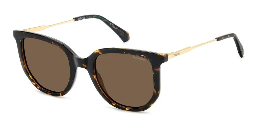 PLD 4185/S/X sold by Otticanet product image thumbnail 2