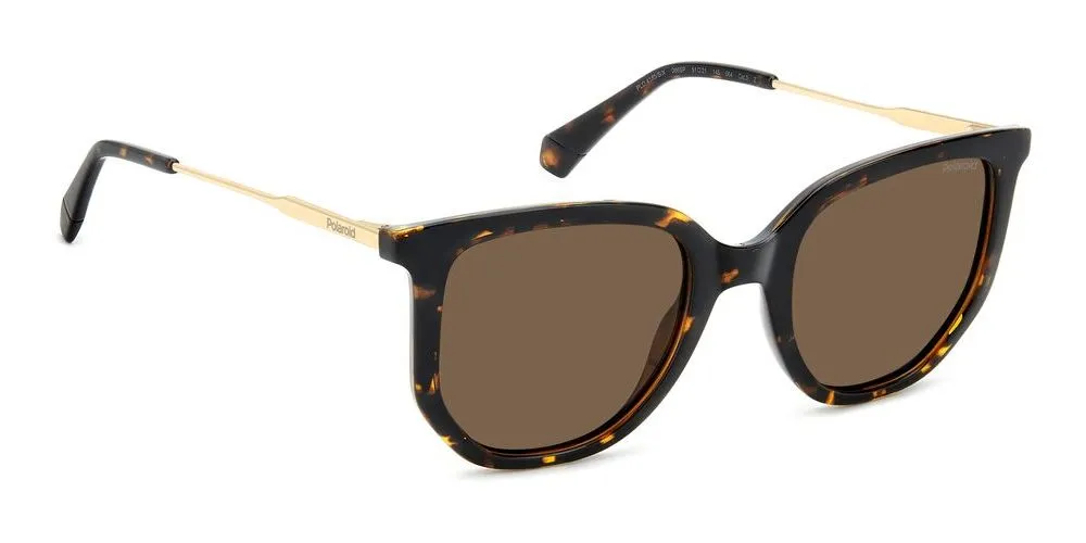 PLD 4185/S/X sold by Otticanet product image thumbnail 3