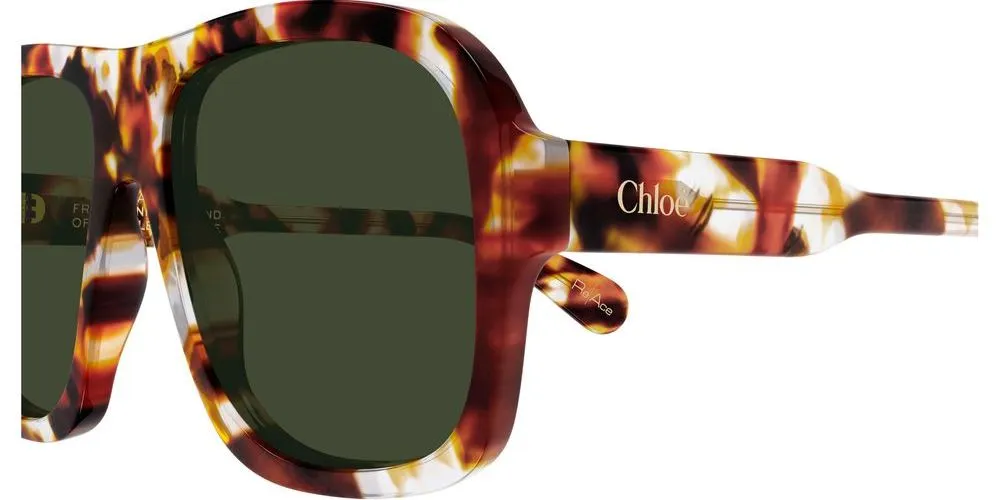 CH0331S sold by Otticanet product image thumbnail 3
