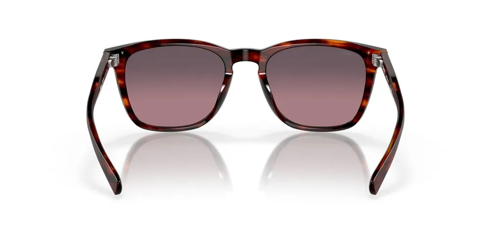 SULLIVAN 06S2002 sold by Otticanet product image thumbnail 5