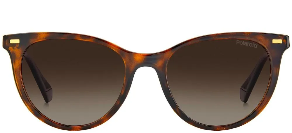PLD 4107/S SUSTAINABLE COLLECTION sold by Otticanet