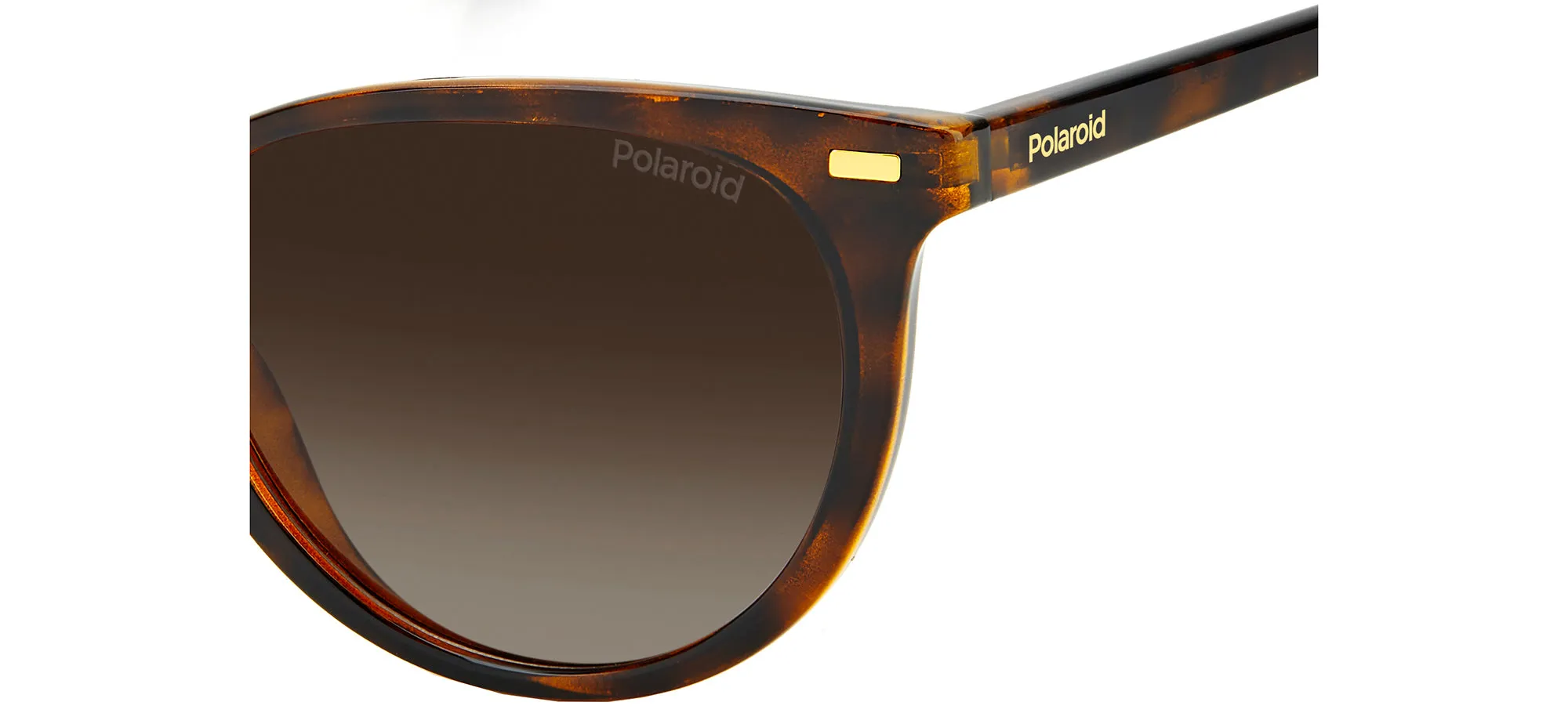 PLD 4107/S SUSTAINABLE COLLECTION sold by Otticanet product image thumbnail 5