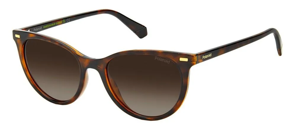PLD 4107/S SUSTAINABLE COLLECTION sold by Otticanet product image thumbnail 2