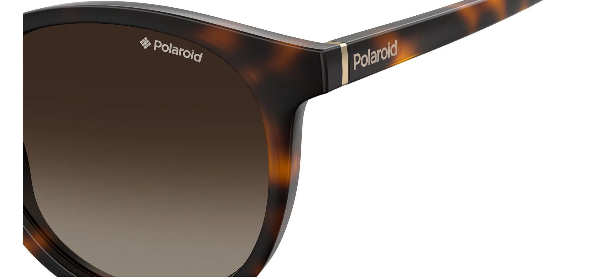 PLD 6098/S sold by Otticanet product image thumbnail 3