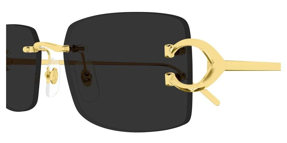 CT0605S sold by Otticanet product image thumbnail 3