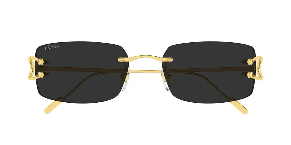 CT0605S sold by Otticanet