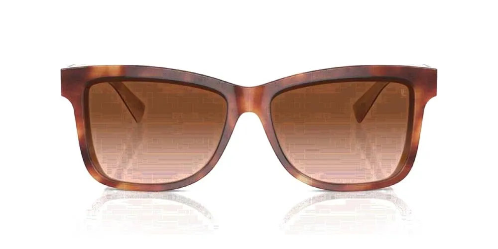 BC 4009S sold by Otticanet