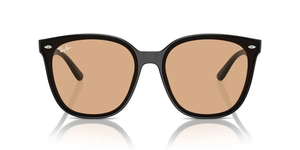 RB 4423D sold by Otticanet