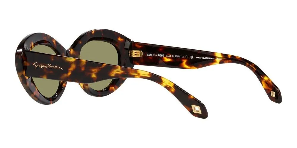 AR 8188 sold by Otticanet product image thumbnail 5