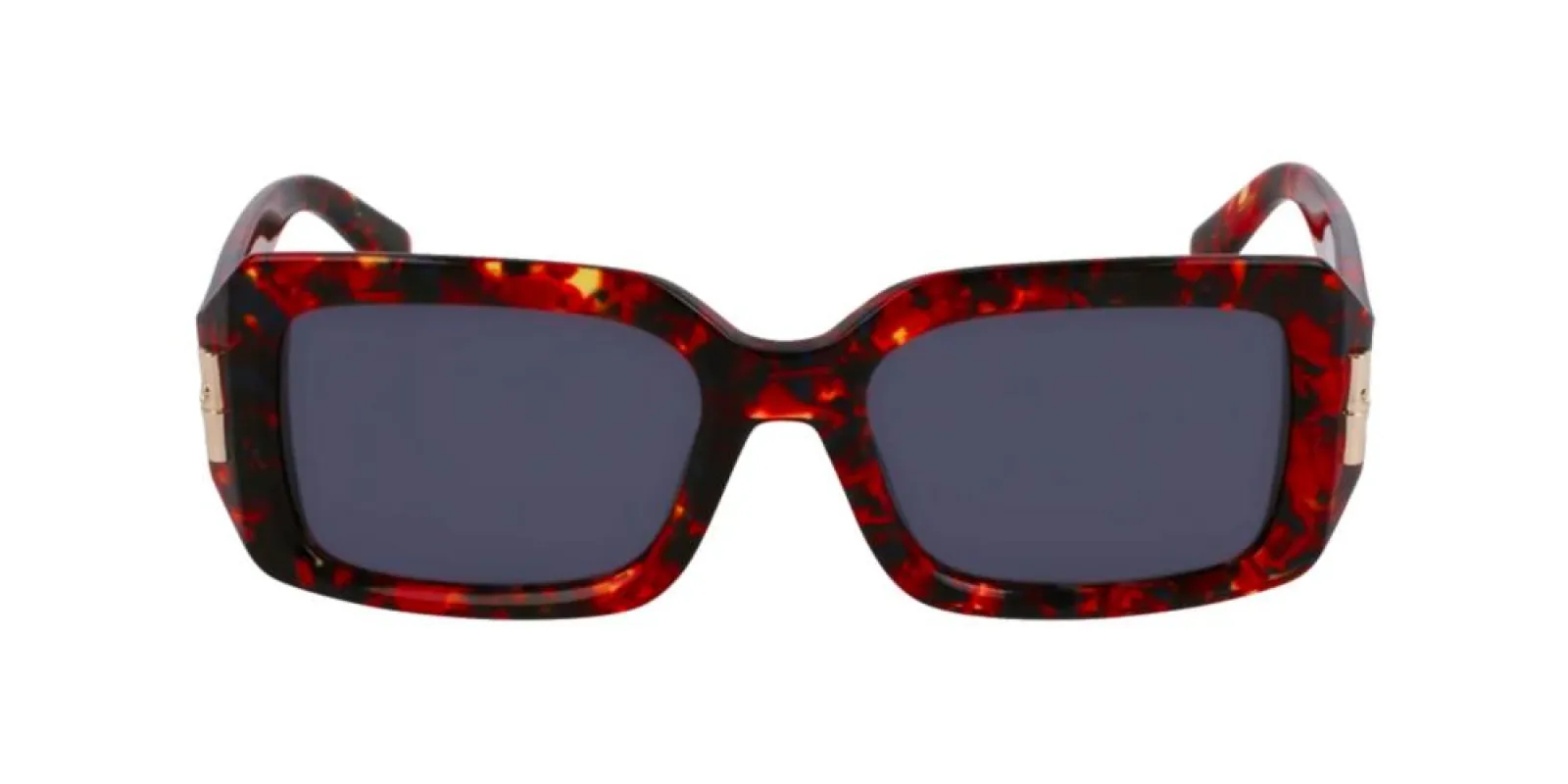 LO765S N made by Longchamp