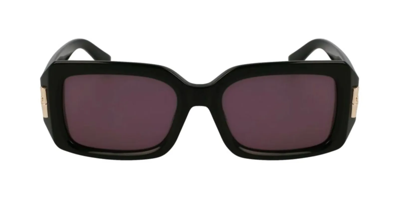 LO765S N made by Longchamp