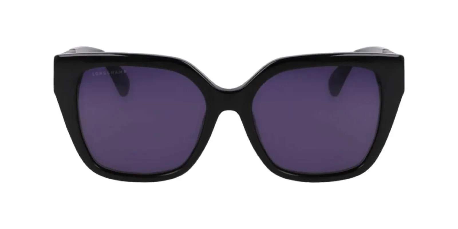 LO754SL N made by Longchamp