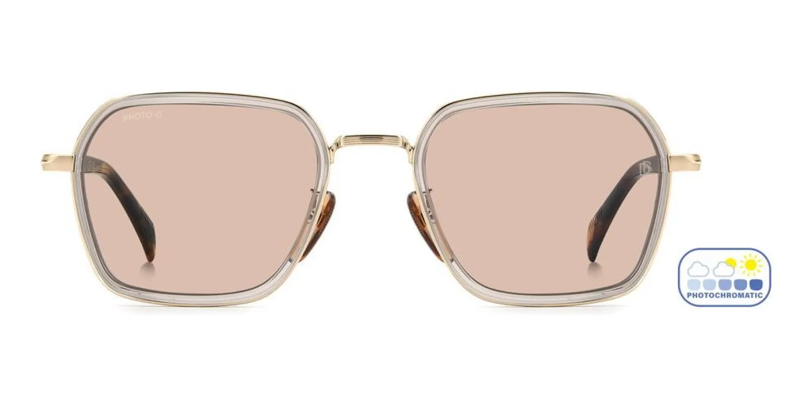 DB 1194/G/S sold by Otticanet