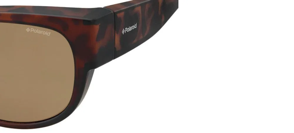 PLD 9004/S sold by Otticanet product image thumbnail 3