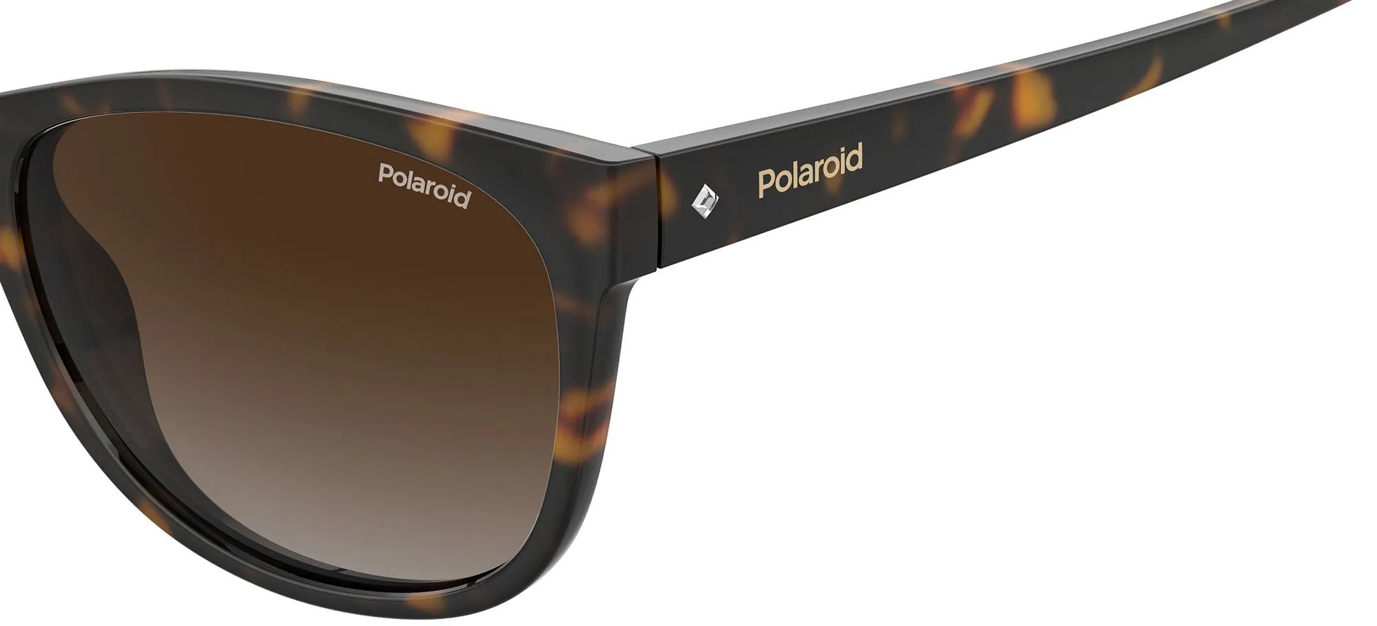PLD 4099/S sold by Otticanet product image thumbnail 3