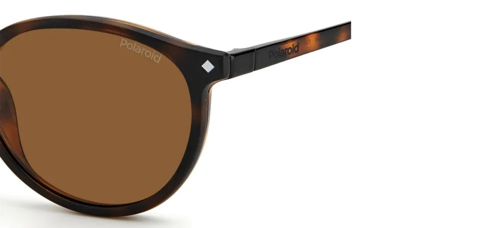 PLD 6137/CS sold by Otticanet product image thumbnail 5