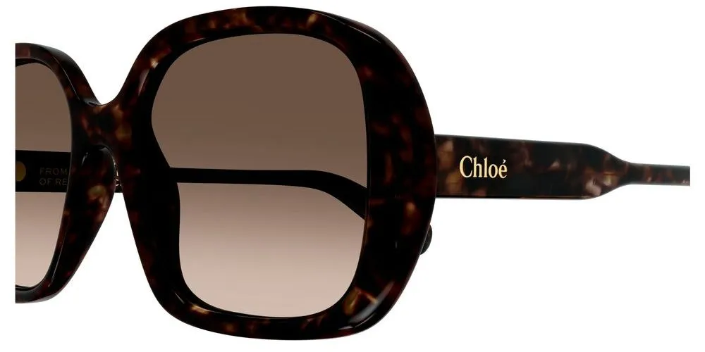 CH0222S sold by Otticanet product image thumbnail 3