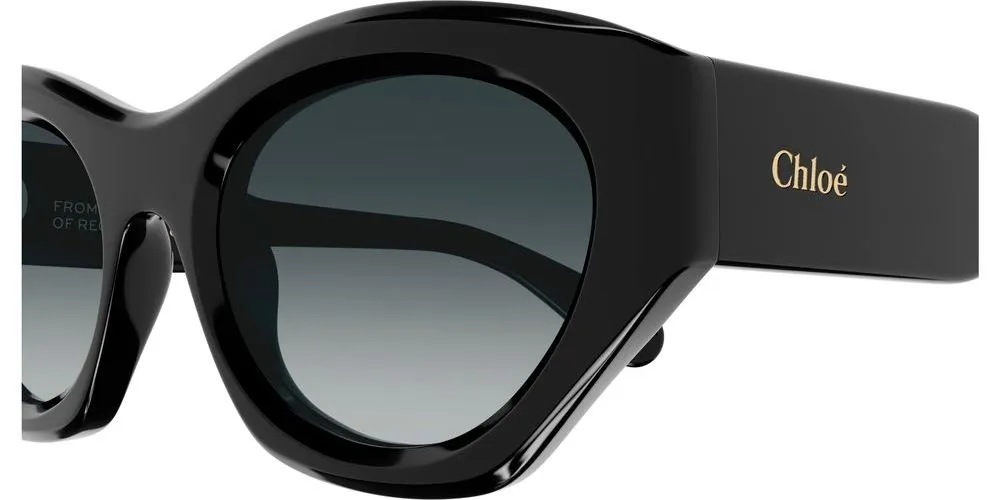 CH0220S sold by Otticanet product image thumbnail 3