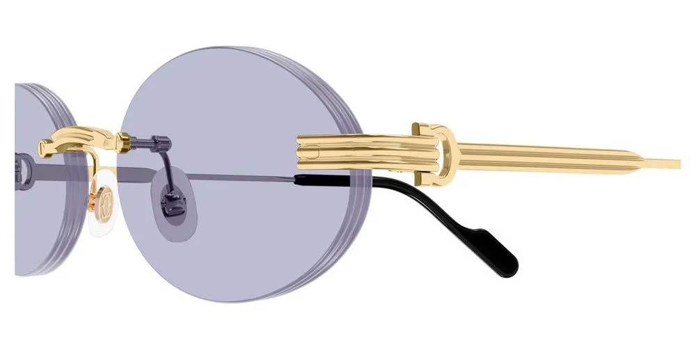 CT0615S sold by Otticanet product image thumbnail 3