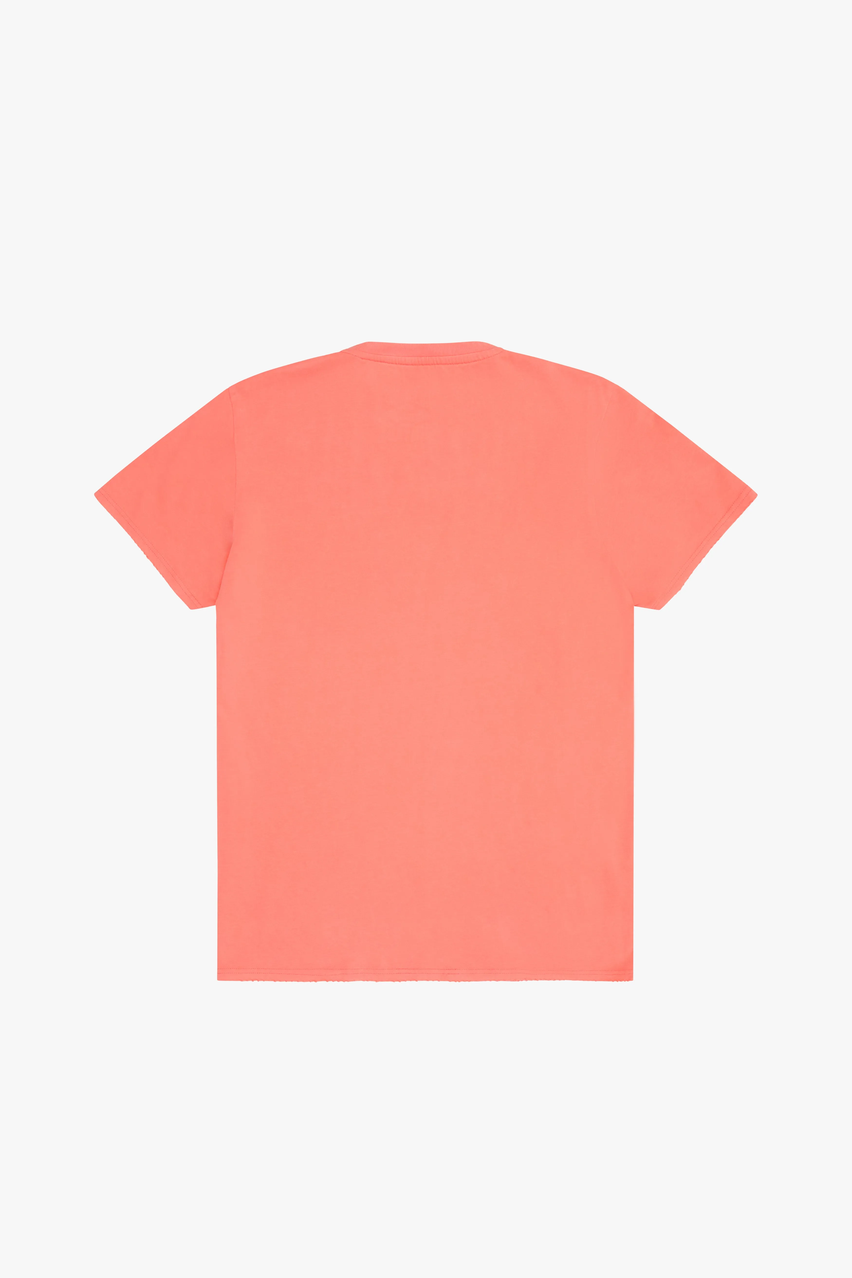 "ANTIQUE CAR SHOW" TEE CAMIELLA sold by valabasas product image thumbnail 3