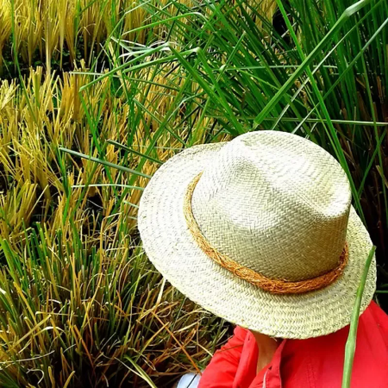 CHAPEAU HOMME RAPHIA made by Dr. Collectors