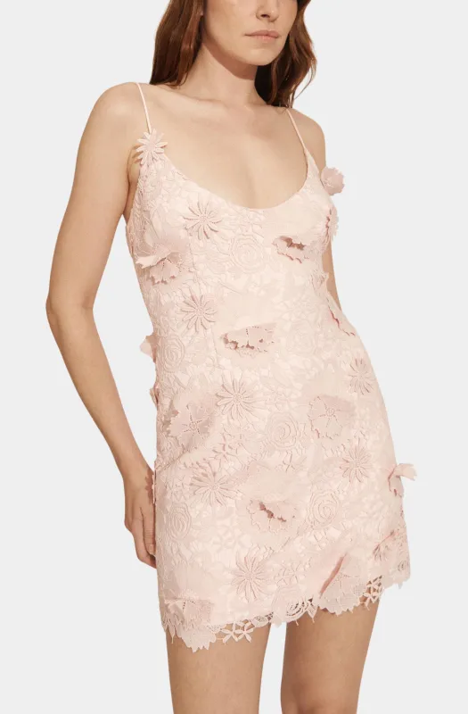 Adei Lace Mini Dress made by Bardot