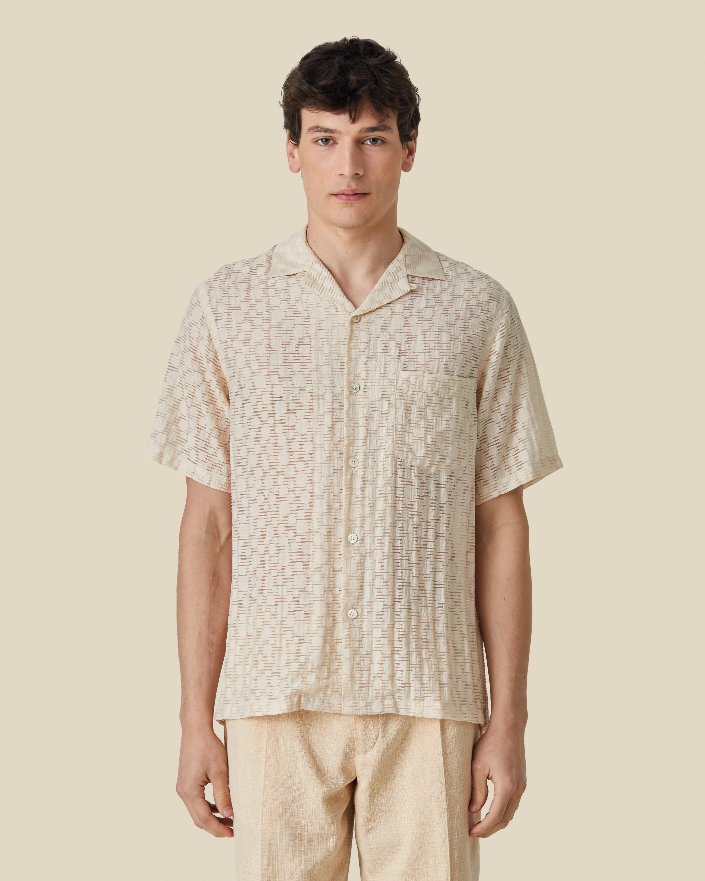 PLASMA sold by Portuguese Flannel