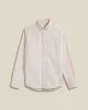 Brushed Oxford Stripe - Salmon sold by Portuguese Flannel