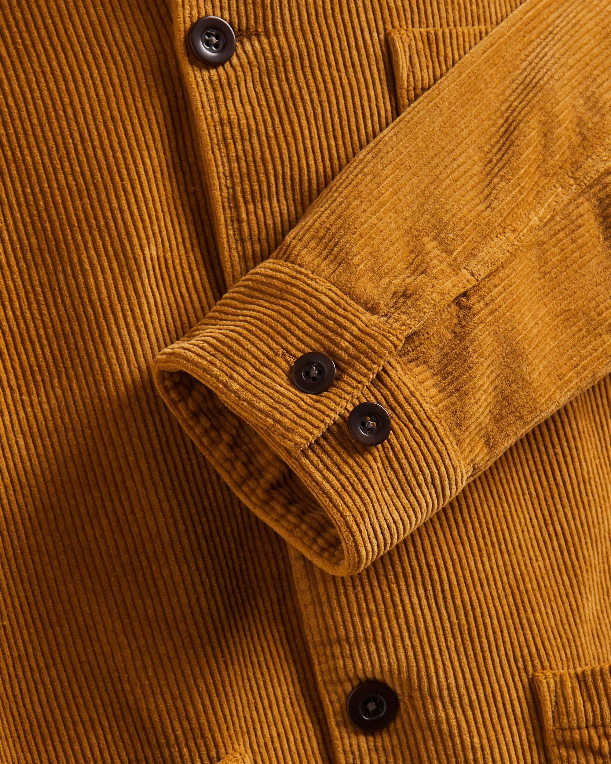 Labura Corduroy - Autumn Shades sold by Portuguese Flannel product image thumbnail 3