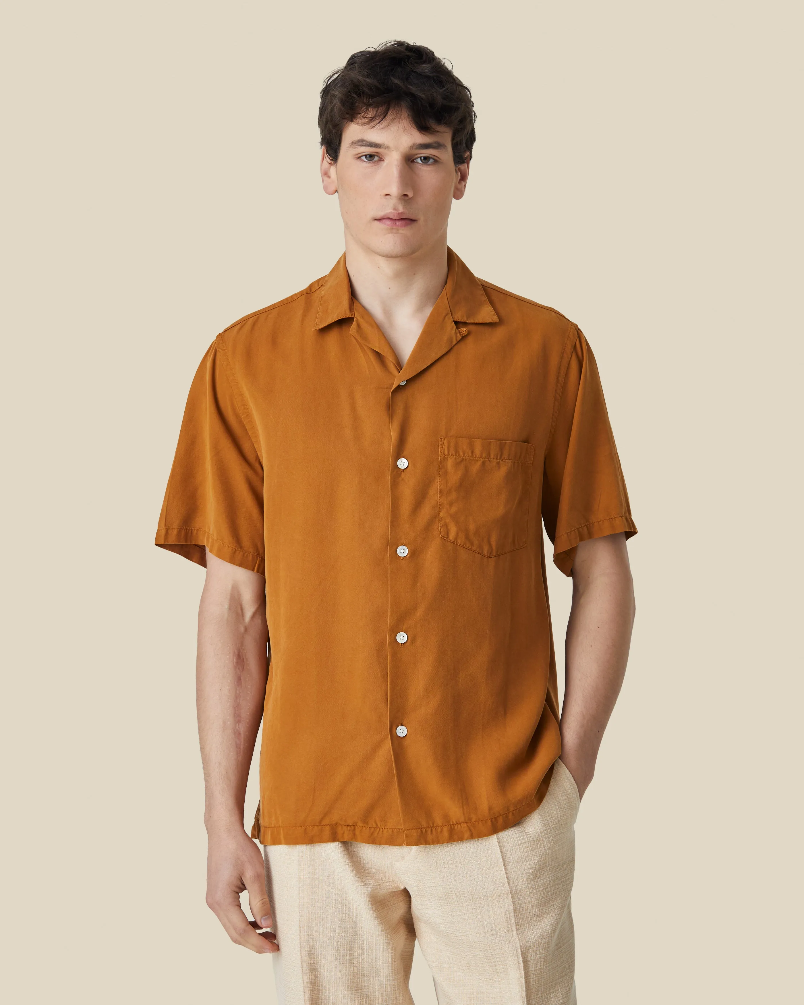 DOGTOWN - CINNAMON sold by Portuguese Flannel