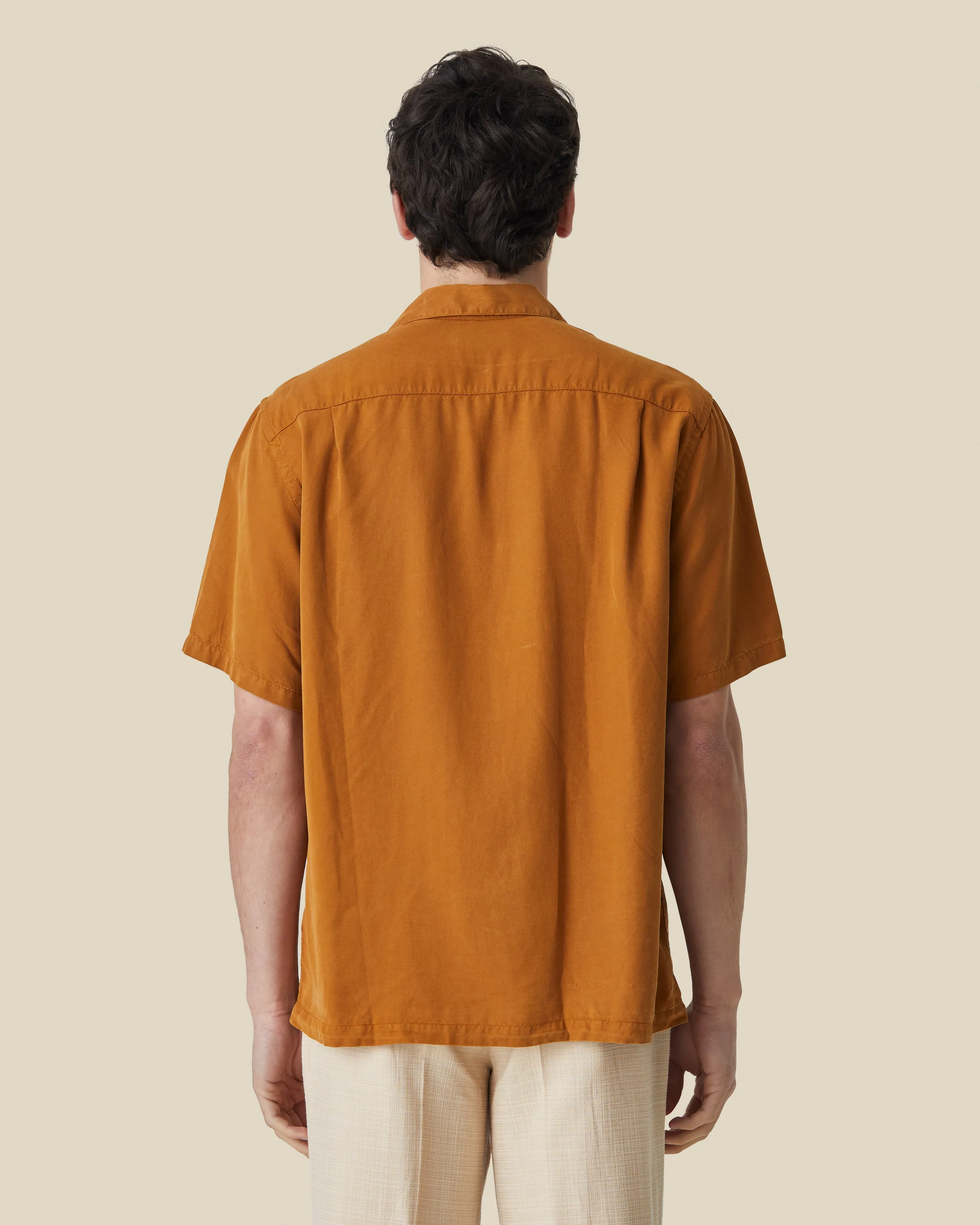 DOGTOWN - CINNAMON sold by Portuguese Flannel product image thumbnail 2