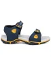 GC-912 Blue Men's Sports Sandals sold by Campus Shoes