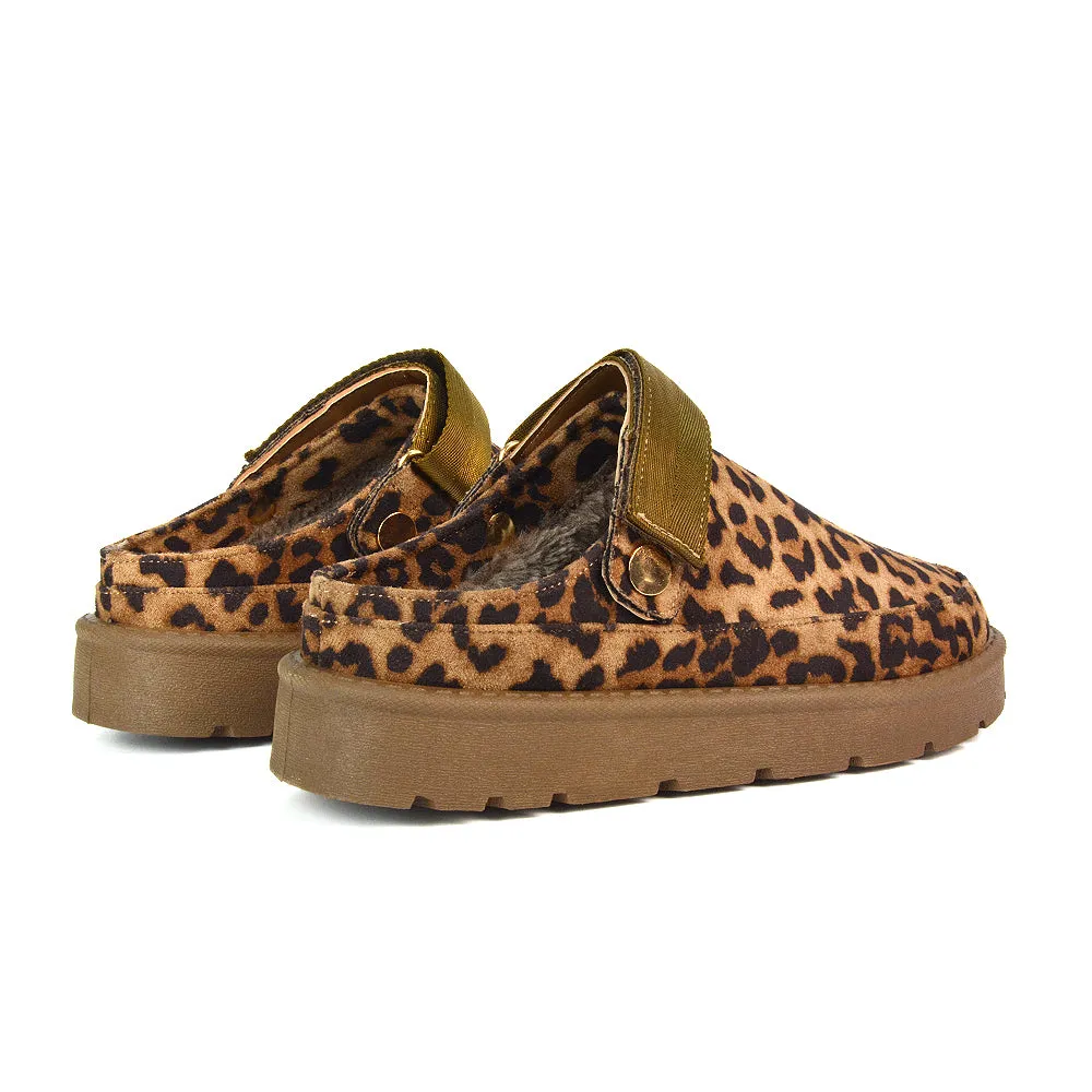 Sienna Closed Toe Clogs Strap Slingback Faux Fur Lined Comfy Slippers in Cheetah sold by XYlondon product image thumbnail 5
