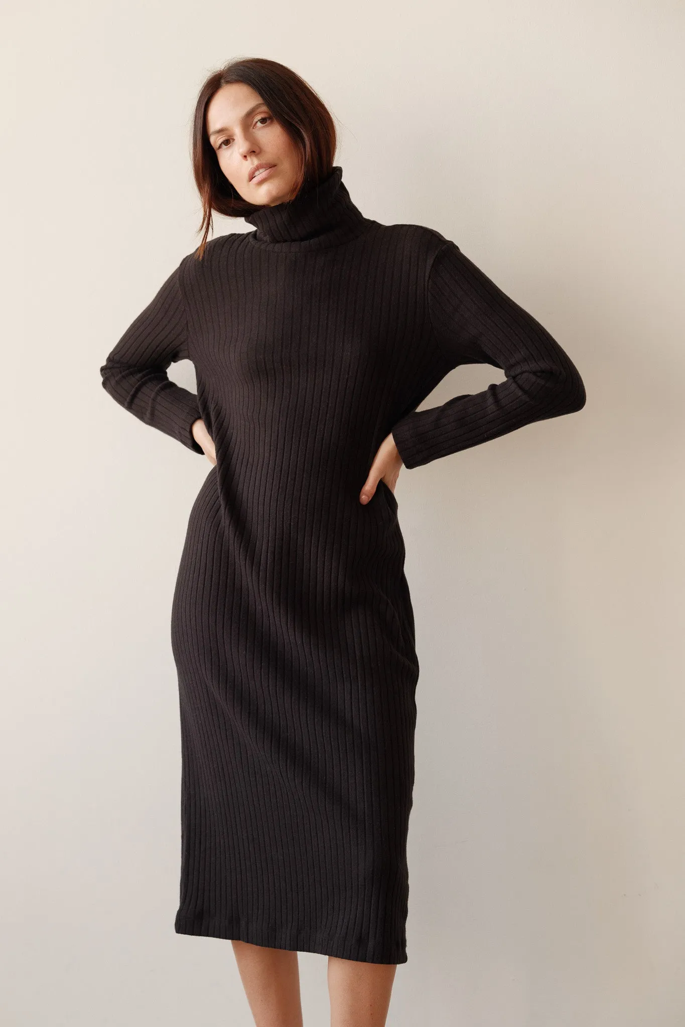 The Sweater Rib Turtleneck Dress sold by DONNI. product image thumbnail 3