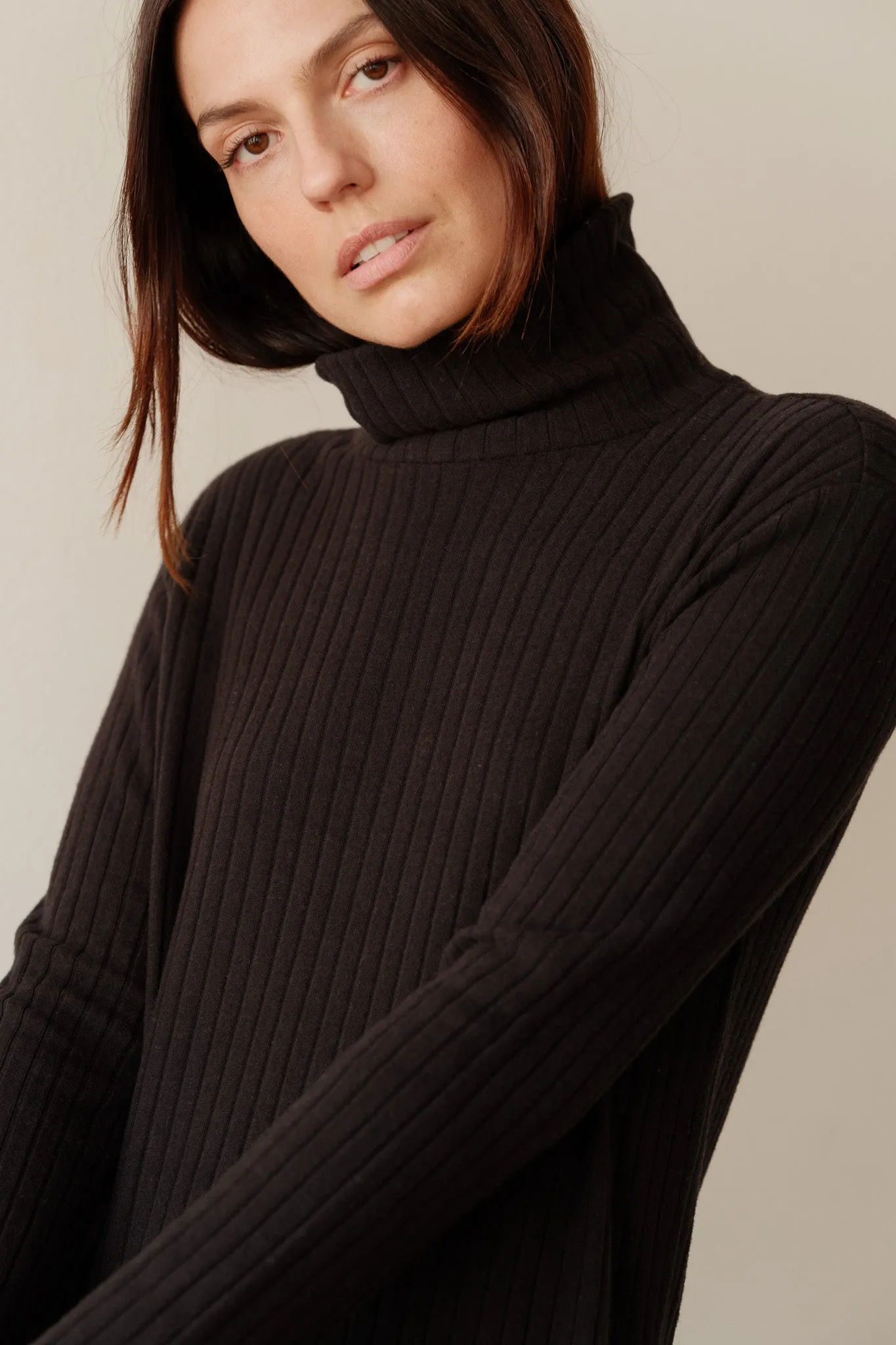 The Sweater Rib Turtleneck Dress sold by DONNI.