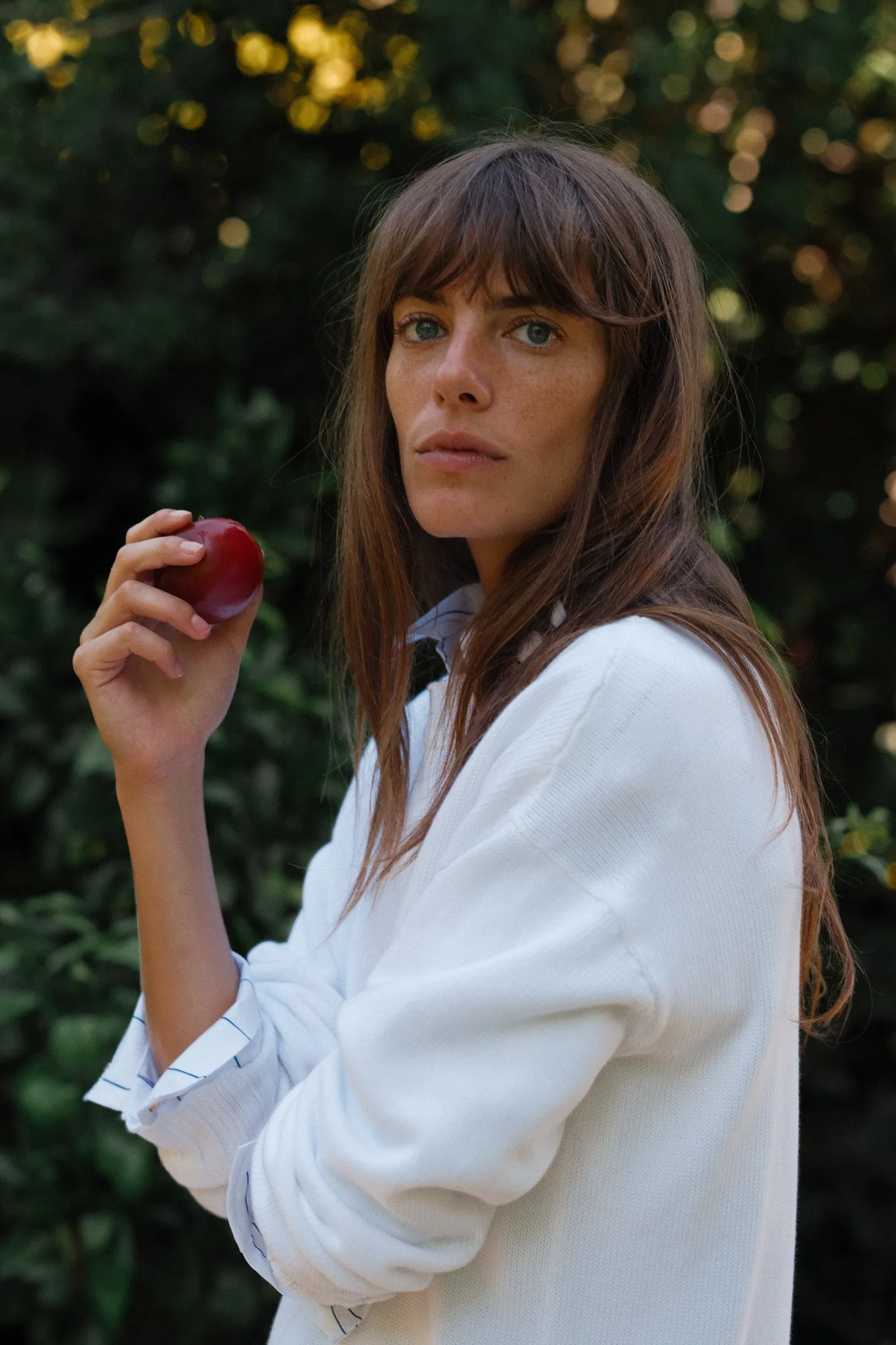 The Cotton Knit Crewneck sold by DONNI. product image thumbnail 3