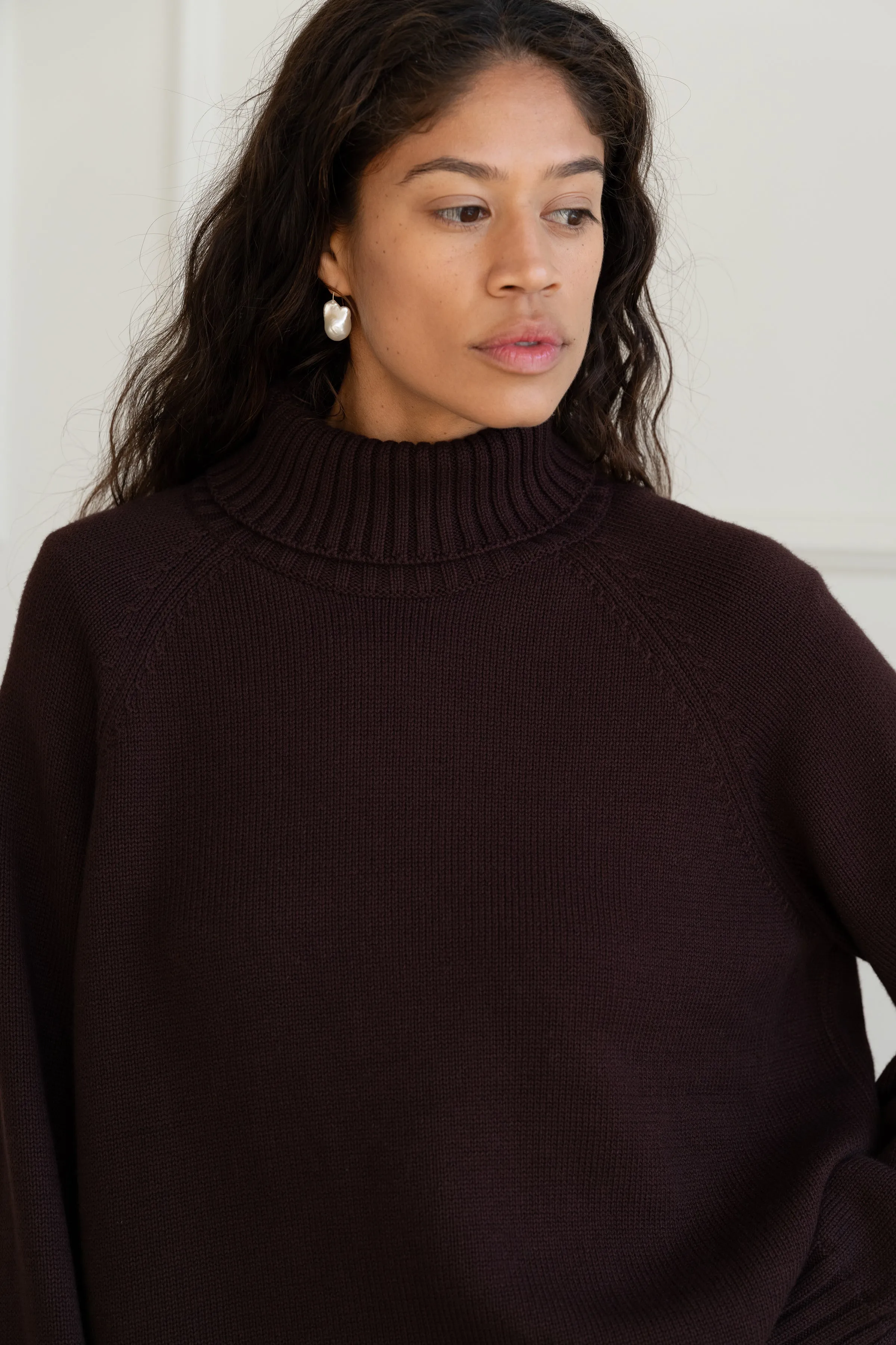 The Cotton Cashmere Turtleneck Sweater sold by DONNI. product image thumbnail 3