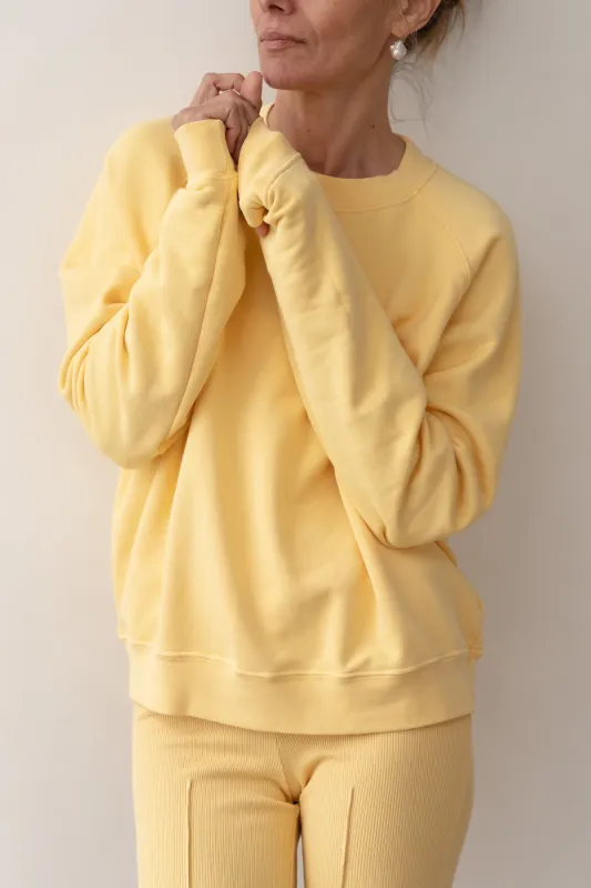 The Eco-Terry Crewneck sold by DONNI.
