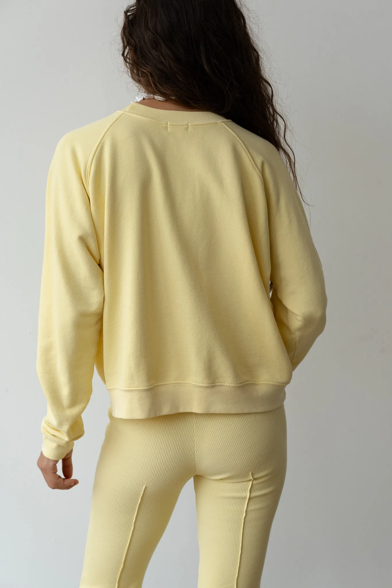 The Eco-Terry Crewneck sold by DONNI. product image thumbnail 5