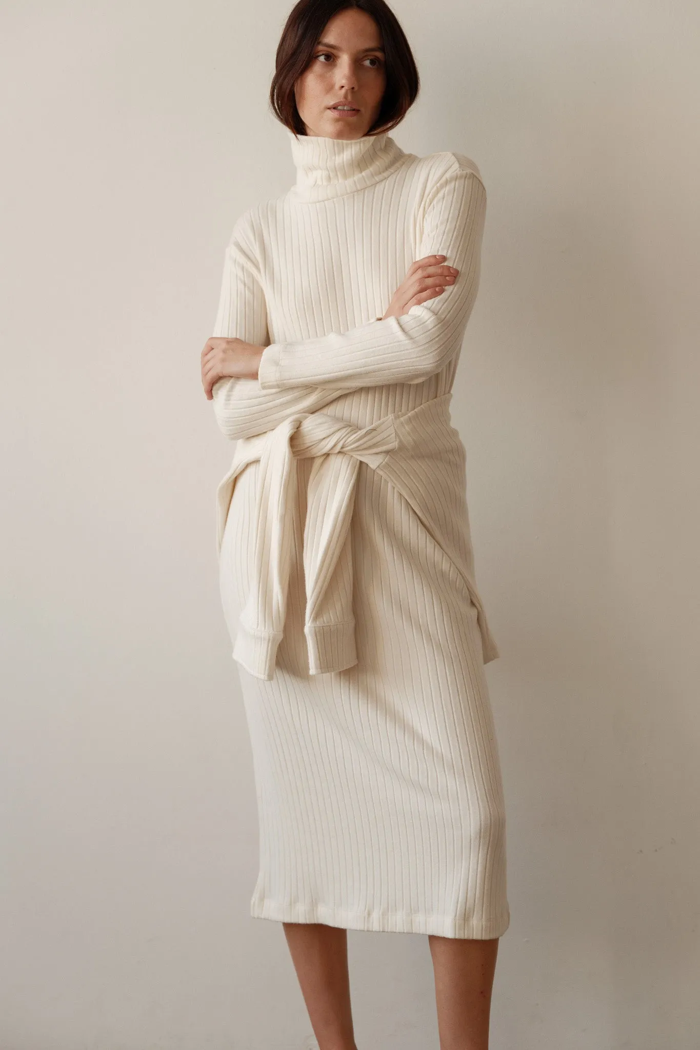 The Sweater Rib Turtleneck Dress sold by DONNI.