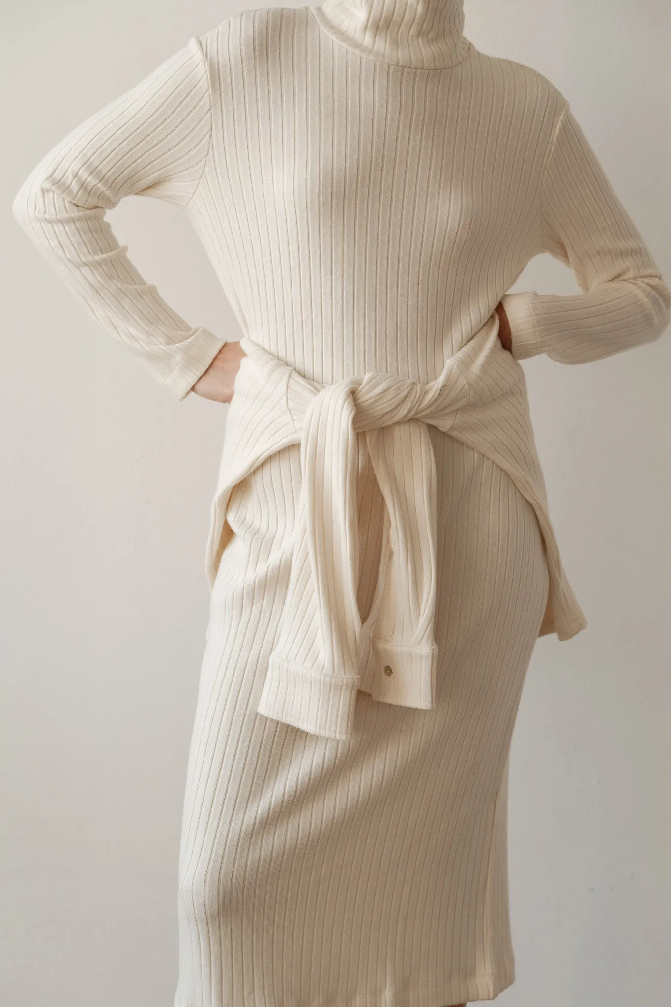 The Sweater Rib Turtleneck Dress sold by DONNI. product image thumbnail 3