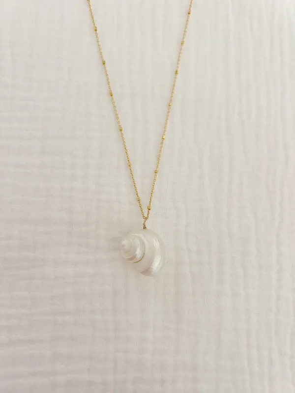 Turbo Shell Necklace sold by Mermaid & Me
