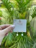 Freshwater Pearl Huggie Earrings sold by Mermaid & Me