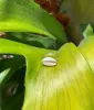 Handmade Horizontal Cowrie Shell Ring sold by Mermaid & Me