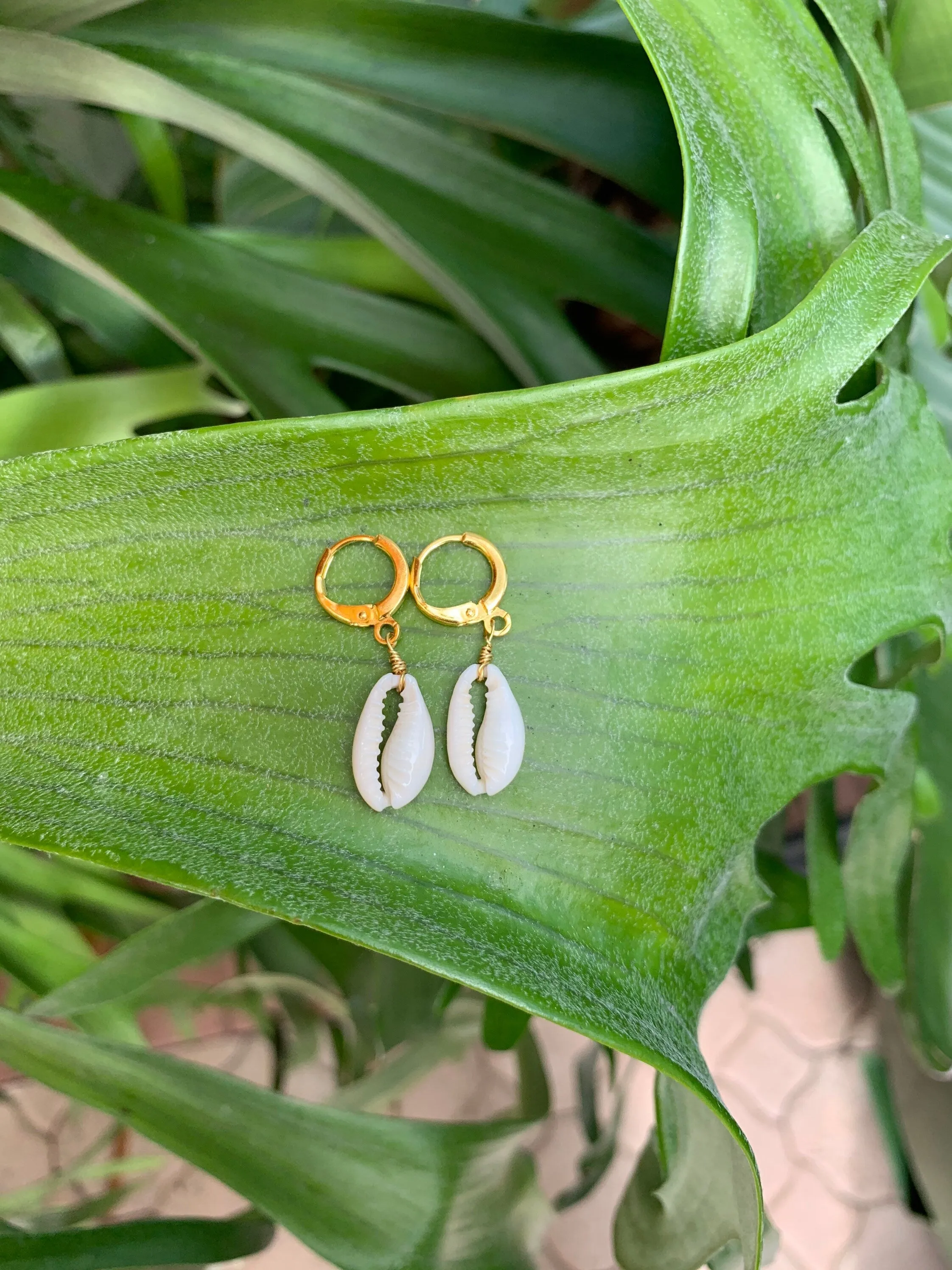 Cowrie Shell Huggie Hoop Earrings sold by Mermaid & Me product image thumbnail 5