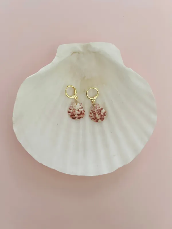 Small Real Scallop Seashell Earrings sold by Mermaid & Me