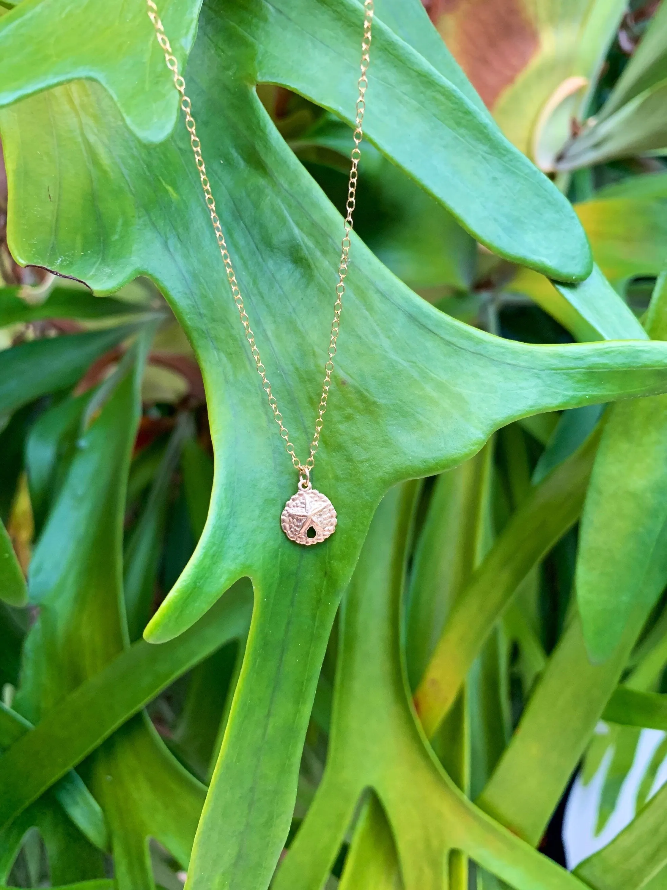 Gold Sand Dollar Necklace sold by Mermaid & Me product image thumbnail 3