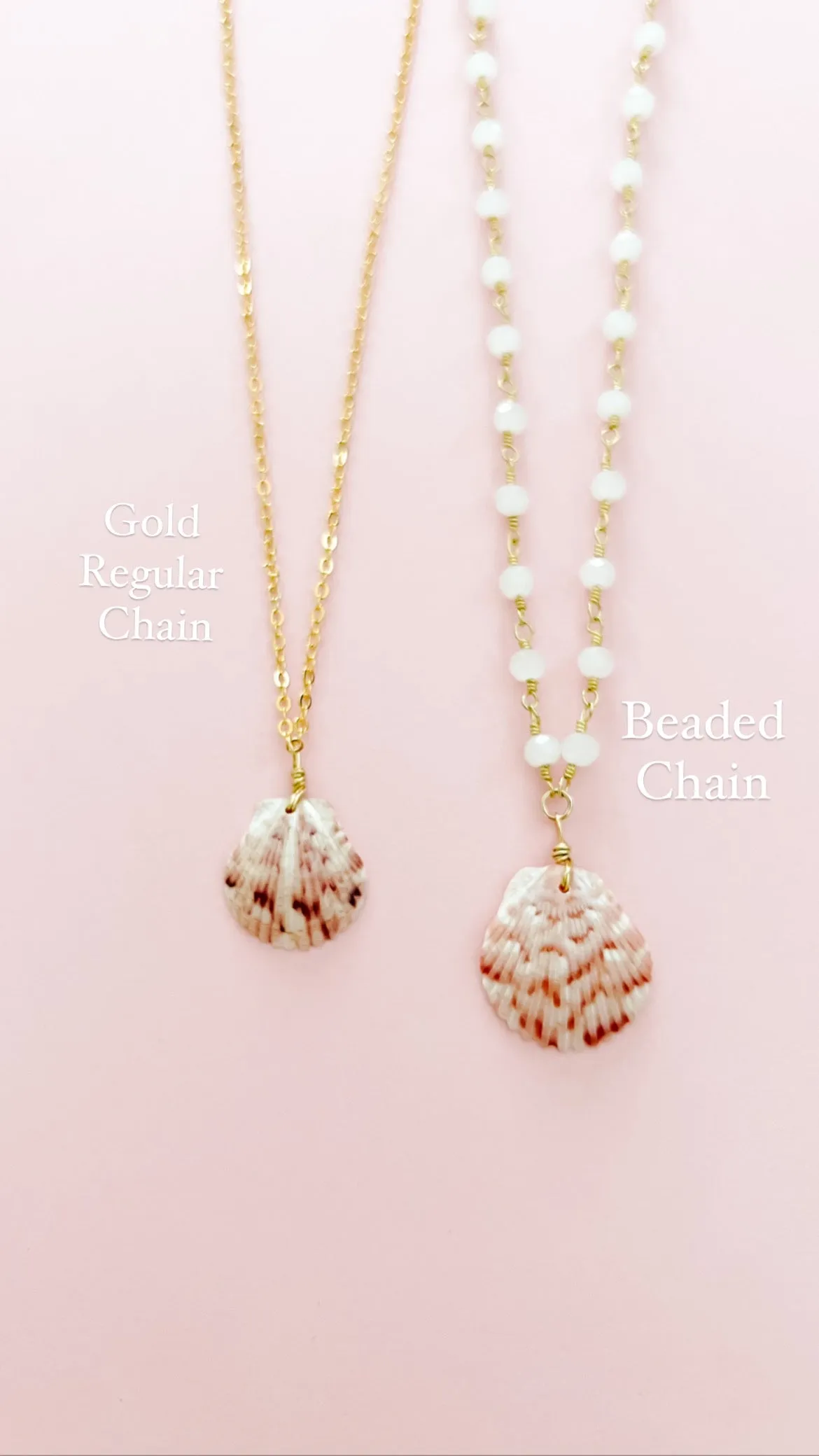 Real Calico Scallop Seashell Necklace sold by Mermaid & Me product image thumbnail 2